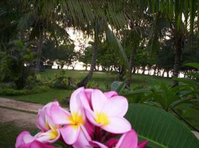 Otuhaka Beach Resort Kanokupolu Pokoj fotografie